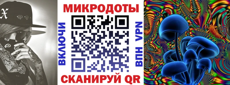 KRAKEN   Ессентуки  Галлюциногенные грибы прущие грибы  как найти наркотики 
